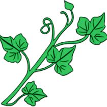 logo-no-background logo-no-background